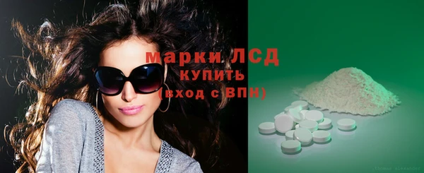 прущие грибы Вязьма