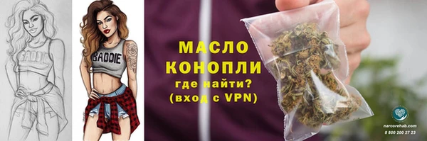 спайс Гусев