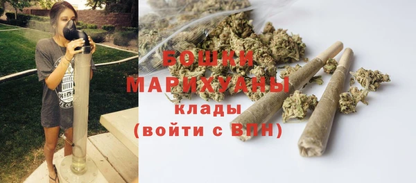 спайс Гусев